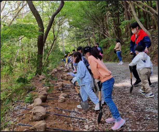 나무